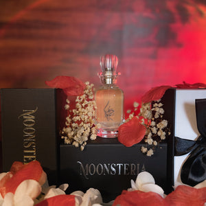 Moon Potions Collection - Nightshade - image