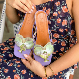 Orkidia in Wisteria - image