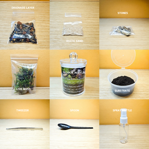 Moss Escape DIY Terrarium Kit - image