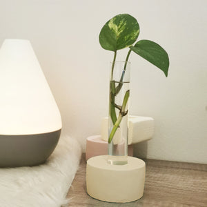 Wood Propagation Vessel - image