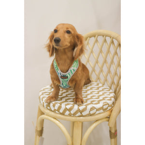 Dog Harness - image
