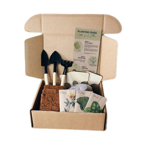Beginner Seed Starter Pack - image