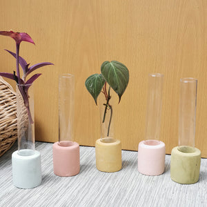 Concrete Propagation Vessel - image