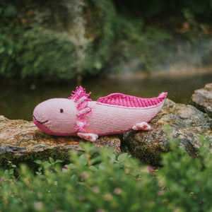 Axolotl - image