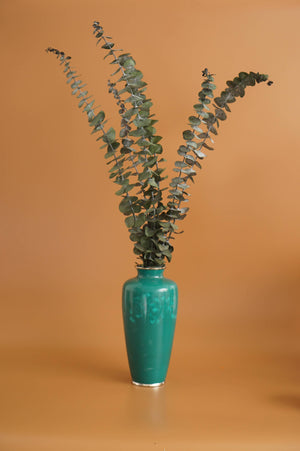 Eucalyptus Vase - image