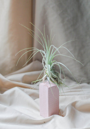 Making the Small Things Count - image