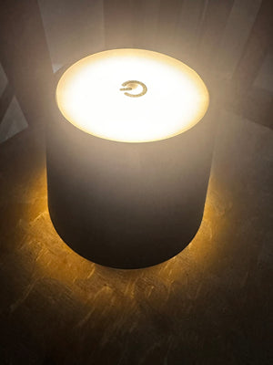 Bottle lamp only (for alternate display) - image