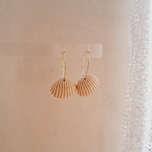 Beige Shell Hoop Earrings - image