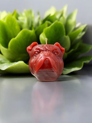 Bulldog Candle - image