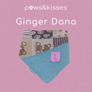 Ginger Pet Bandana (from the Pixie Dust Collection) - image