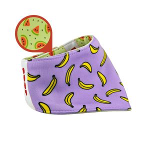 Reversible Pet Bandana - Banana and Watermelon - image