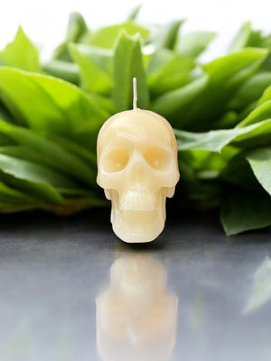 Skull Candle - image