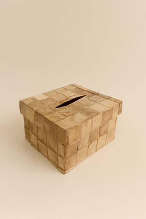 Capiz Chips Tissue Box - image