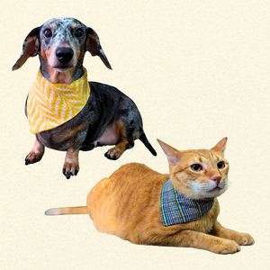 Inabëg Bandana (Random Color) - image