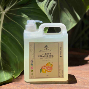 Citrus Grapefruit Sanitizer Spray - NEW - image