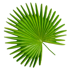 Anahaw Napkin Ring - image