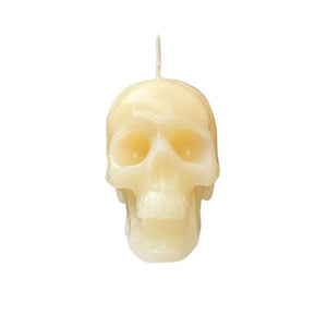 Skull Candle - image