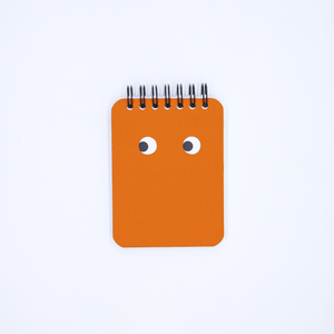 PC&Co. Googly Eye Notebooks 3x4 - image