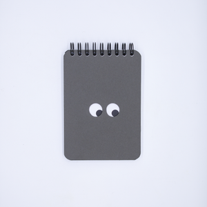 PC&Co. Googly Eye Notebook 3.5x5 - image