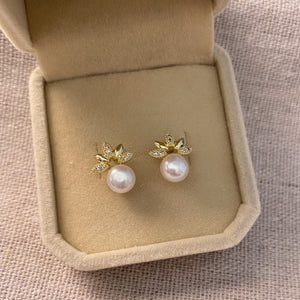 Beau Freshwater Pearl Stud Earrings - image