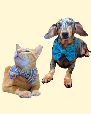 Inabëg Bowtie (Random Color) - image