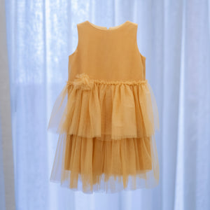 Beatriz Dress in Honey - image