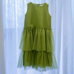 Beatriz Dress in Lime - image