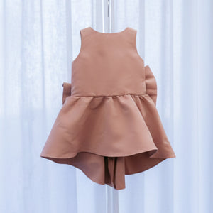 Danielle Dress in Rose - image