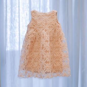 Gabriella Dress in Rose - image