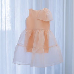 Manuela Dress in Rose - image