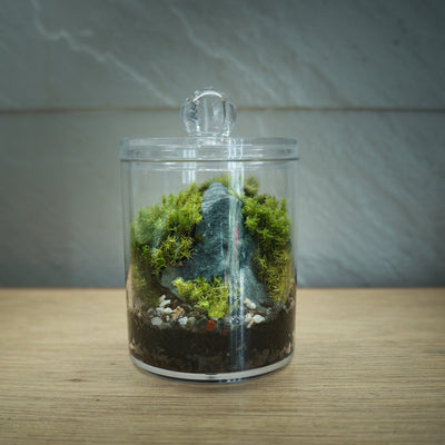 Moss Escape - image