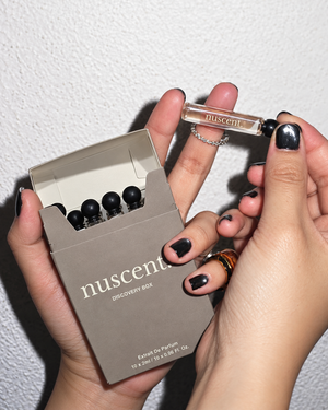 NUSCENT I DISCOVERY BOX OF 10 - image