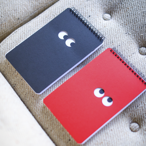 PC&Co. Googly Eye Notebook 5.5x8.5 - image