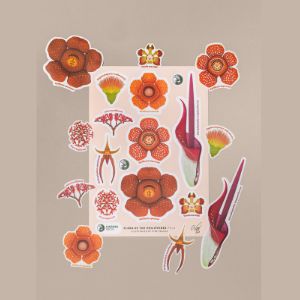 Flora of the Philippines – A5 Sticker Sheets - image