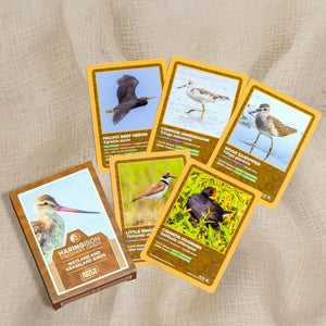 Discovery Cards – Wetland & Grassland Birds - image