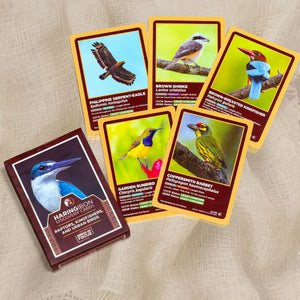 Discovery Cards Raptors, Kingfishers, and Urban Birds - image