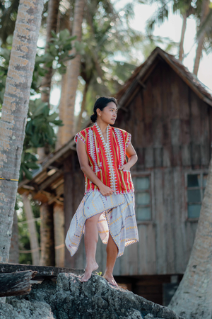 Vest Ramit by Hanunuo Mangyan Tribe - image