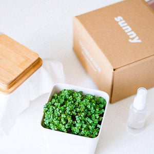 Microgreens Grow Kit (Arugula & Red Acre Cabbage) - image