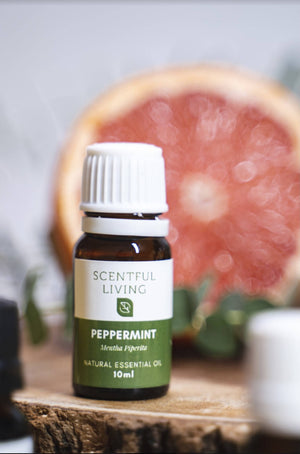 Natural Oil Peppermint - image