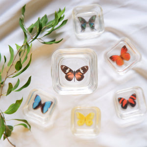 Butterfly Mini Resin Trinket Tray - image