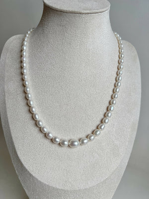 DAPHNE Freshwater Pearl Necklace - image