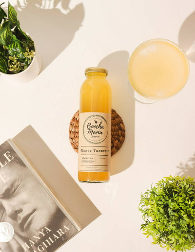 Boochamama Craft Kombucha - image