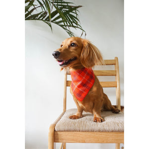 Geometrical Pet Bandana - image