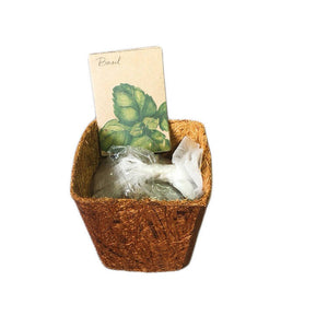 Basil Seed Solo Kit - image