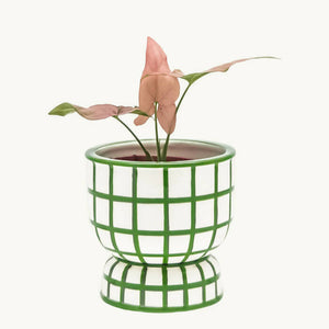 Copa Ceramic Planter - image