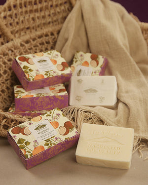 Pili Oil Soap - REJUVENATE / Antioxidant for nourished skin - image