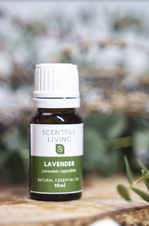 Natural Oil Lavender - image