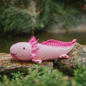 Axolotl - image