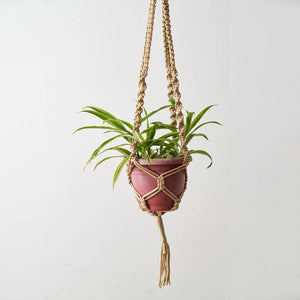 Crocheted Plant Hangers - image