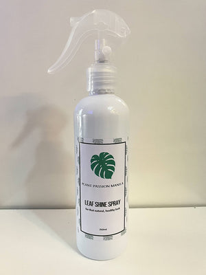 Homemade Leafshine Spray - image
